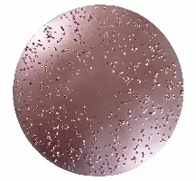 HMT brusne ploče, promjer 230mm, fine br. 605 za ROKAMAT TITANO/HERON, Z0605