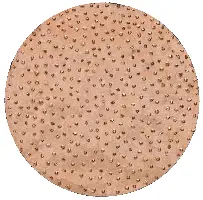 HMT brusne ploče, promjer 200mm, grube za ROKAMAT CHAMELEON/CHAMELEON CX po paru, Z22905